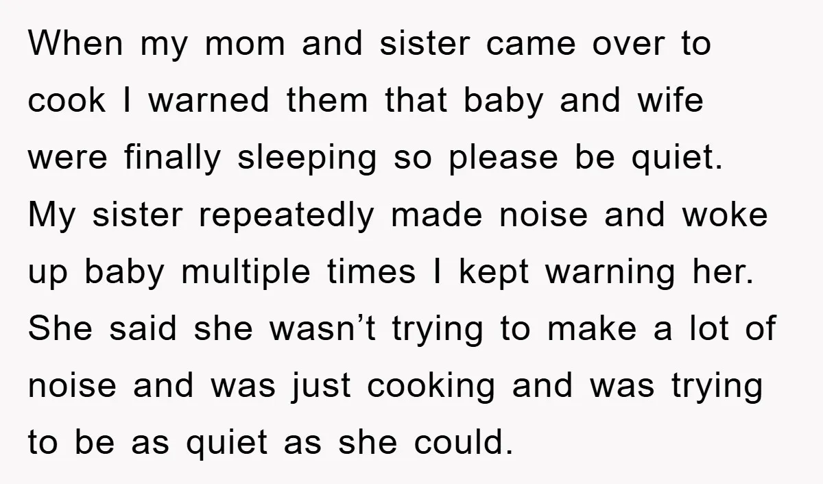 When my mom and sister came over to cook I warned them that baby and wife were finally sleeping so please be quiet. My sister repeatedly made noise and woke...