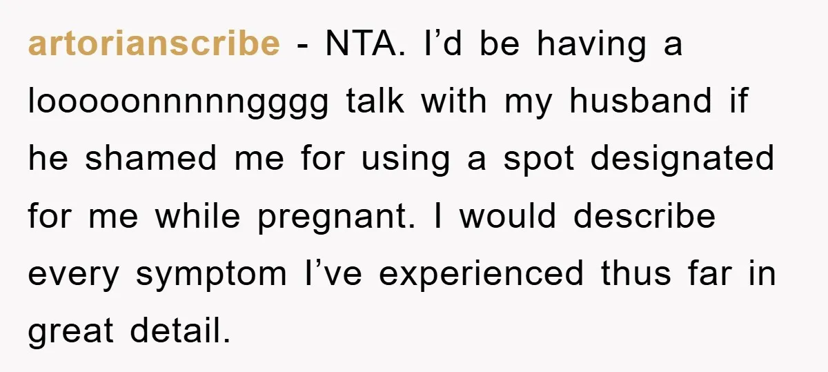 artorianscribe - NTA. I’d be having a looooonnnnngggg talk with my husband if he shamed me for using a spot designated for me while pregnant. I would describe every symptom...