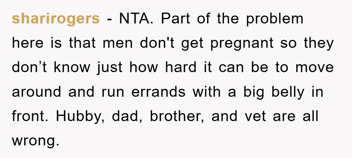 sharirogers - NTA. Part of the problem here is that men don't get pregnant so they don’t know just how hard it can be to move around and run errands...