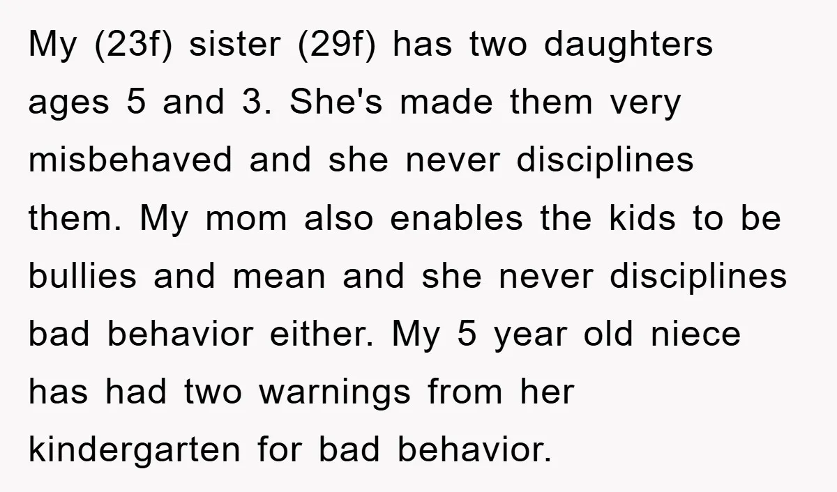 My (23f) sister (29f) has two daughters ages 5 and 3. She's made them very misbehaved and she never disciplines them. My mom also enables the kids to be bullies...