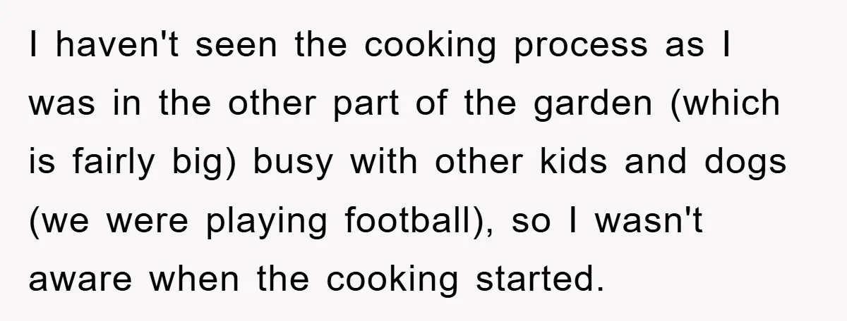 I haven't seen the cooking process as I was in the other part of the garden (which is fairly big) busy with other kids and dogs (we were playing football),...