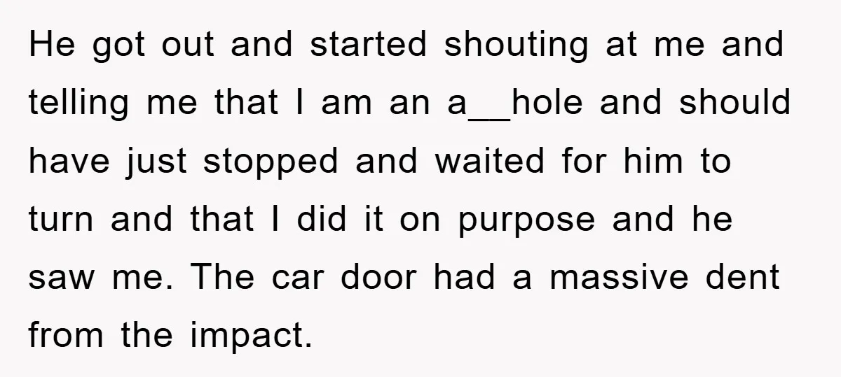He got out and started shouting at me and telling me that I am an a__hole and should have just stopped and waited for him to turn and that I...