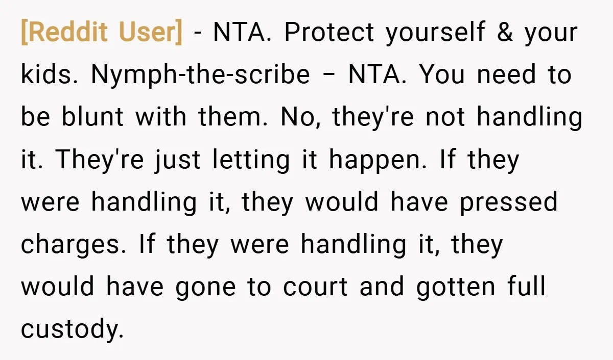 [Reddit User] − NTA. Protect yourself & your kids. Nymph-the-scribe − NTA. You need to be blunt with them. No, they're not handling it. They're just letting it happen. If...