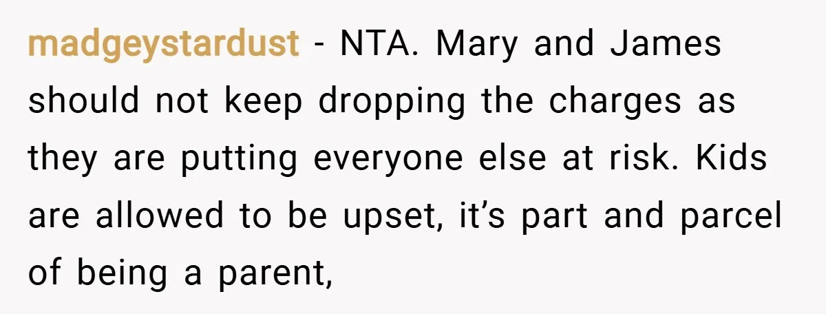 madgeystardust − NTA. Mary and James should not keep dropping the charges as they are putting everyone else at risk. Kids are allowed to be upset, it’s part and parcel...