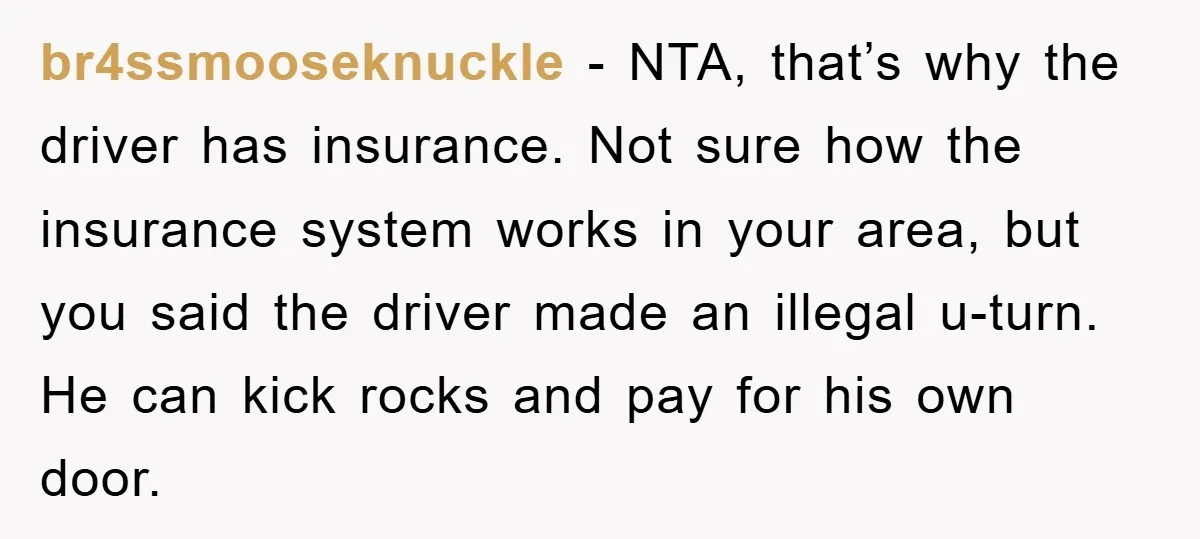 br4ssmooseknuckle − NTA, that’s why the driver has insurance. Not sure how the insurance system works in your area, but you said the driver made an illegal u-turn. He can...