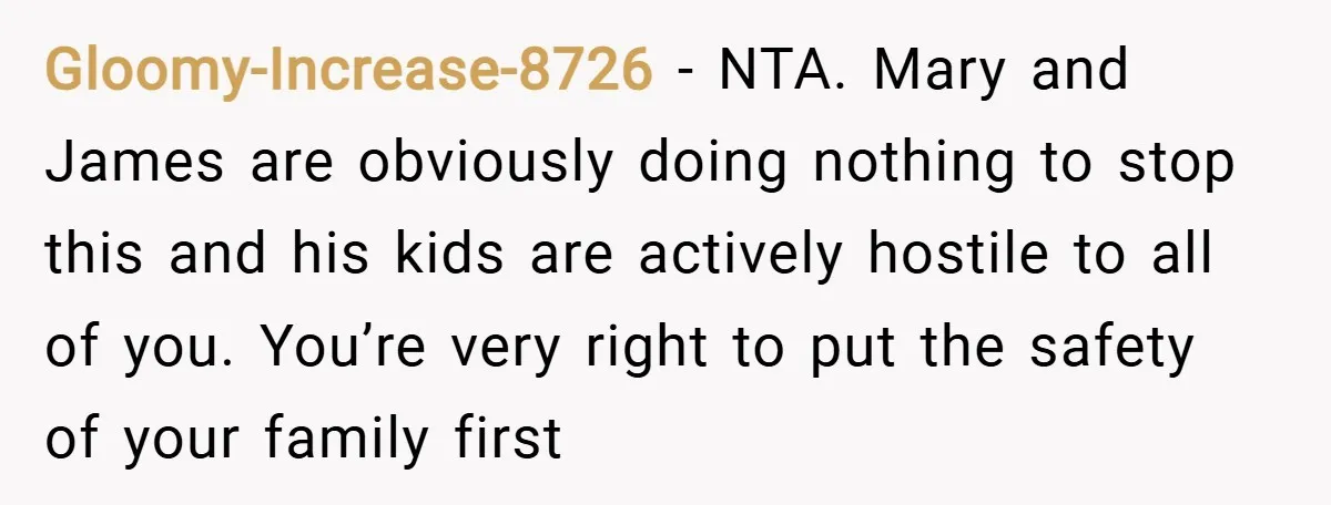Gloomy-Increase-8726 − NTA. Mary and James are obviously doing nothing to stop this and his kids are actively hostile to all of you. You’re very right to put the safety...