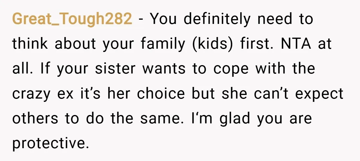 Great_Tough282 − You definitely need to think about your family (kids) first. NTA at all. If your sister wants to cope with the crazy ex it’s her choice but she...