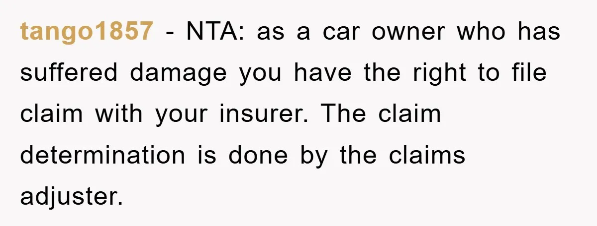 tango1857 − NTA: as a car owner who has suffered damage you have the right to file claim with your insurer. The claim determination is done by the claims adjuster.