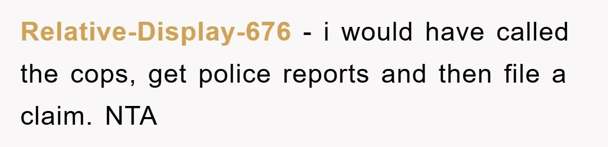Relative-Display-676 − i would have called the cops, get police reports and then file a claim. NTA
