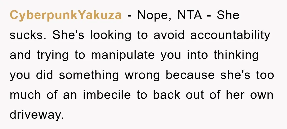 CyberpunkYakuza − Nope, NTA - She sucks. She's looking to avoid accountability and trying to manipulate you into thinking you did something wrong because she's too much of an imbecile...