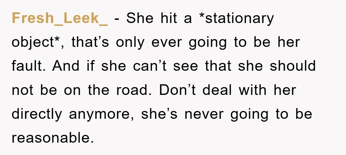 Fresh_Leek_ − She hit a *stationary object*, that’s only ever going to be her fault. And if she can’t see that she should not be on the road. Don’t deal...