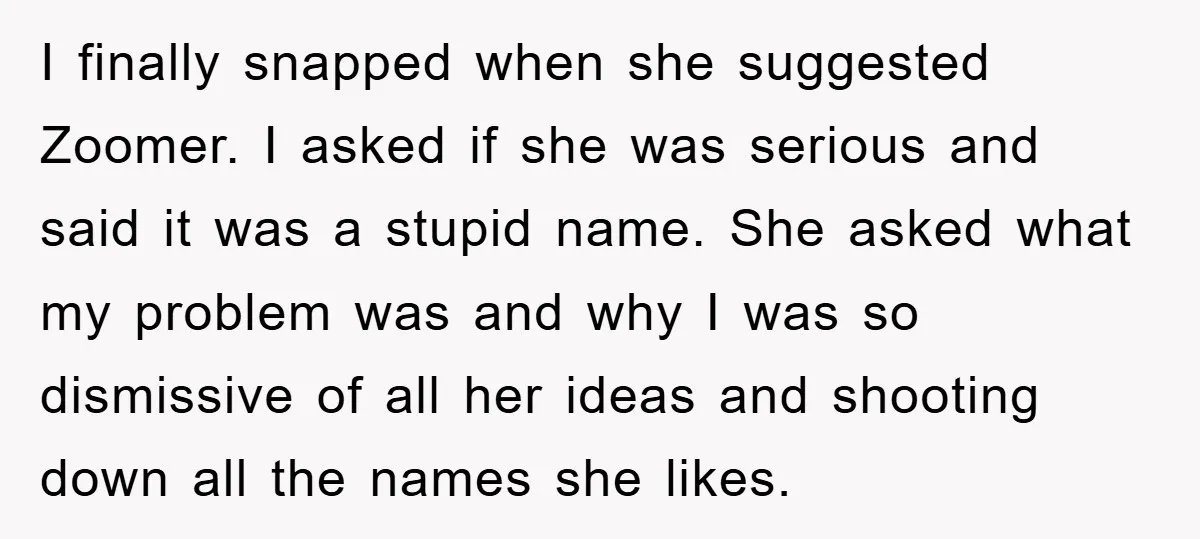 I finally snapped when she suggested Zoomer. I asked if she was serious and said it was a stupid name. She asked what my problem was and why I was...