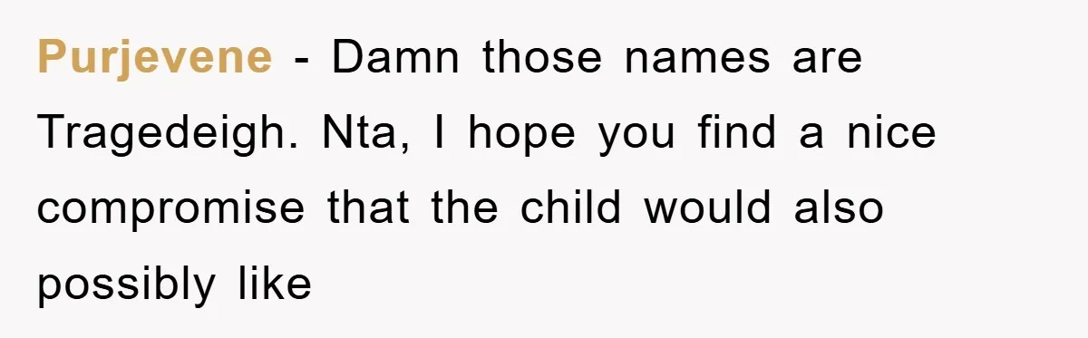 Purjevene − Damn those names are Tragedeigh. Nta, I hope you find a nice compromise that the child would also possibly like