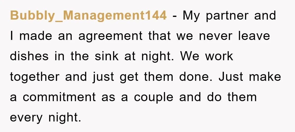 Bubbly_Management144 - My partner and I made an agreement that we never leave dishes in the sink at night. We work together and just get them done. Just make a...