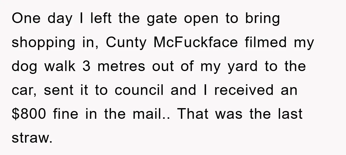 One day I left the gate open to bring shopping in, Cunty McFuckface filmed my dog walk 3 metres out of my yard to the car, sent it to council...