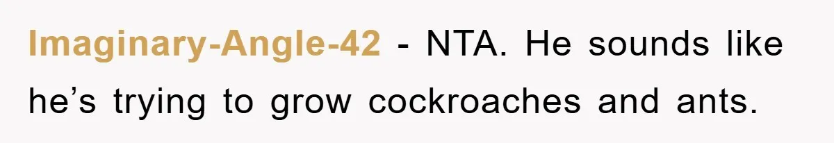 Imaginary-Angle-42 - NTA. He sounds like he’s trying to grow cockroaches and ants.