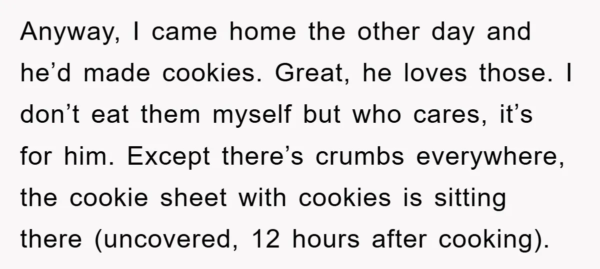 Anyway, I came home the other day and he’d made cookies. Great, he loves those. I don’t eat them myself but who cares, it’s for him. Except there’s crumbs everywhere,...