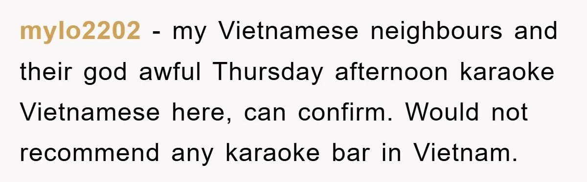 mylo2202 − my Vietnamese neighbours and their god awful Thursday afternoon karaoke Vietnamese here, can confirm. Would not recommend any karaoke bar in Vietnam.