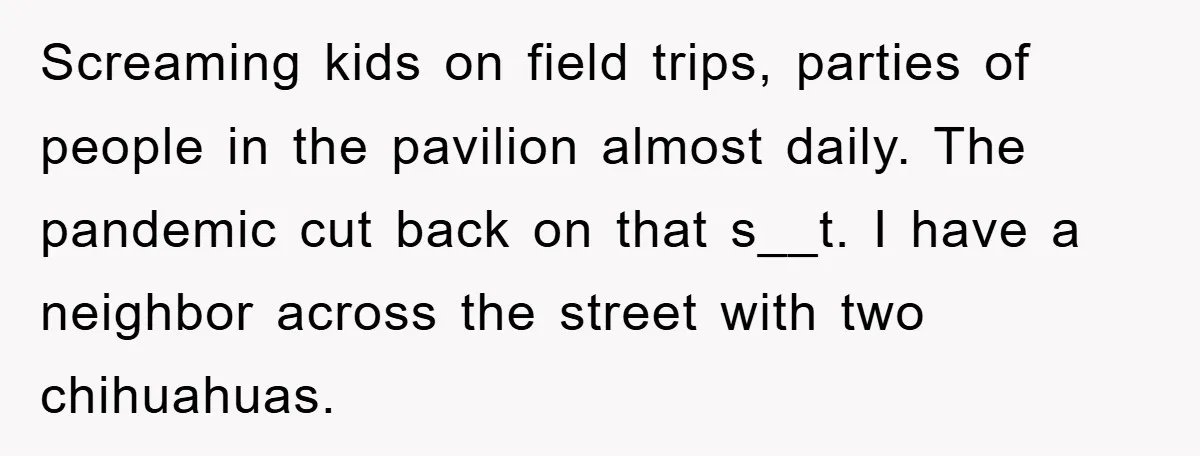 Screaming kids on field trips, parties of people in the pavilion almost daily. The pandemic cut back on that s__t. I have a neighbor across the street with two chihuahuas.