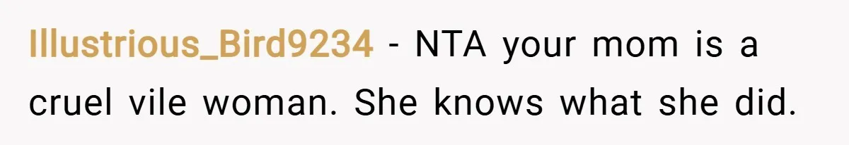 Illustrious_Bird9234 − NTA your mom is a cruel vile woman. She knows what she did.