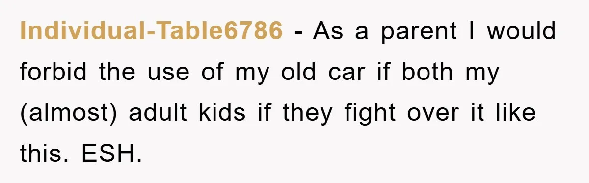 Individual-Table6786 − As a parent I would forbid the use of my old car if both my (almost) adult kids if they fight over it like this. ESH.