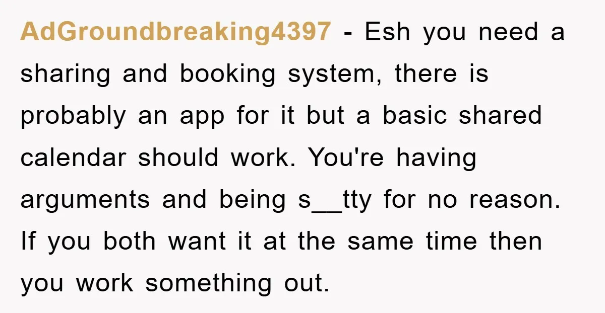 AdGroundbreaking4397 − Esh you need a sharing and booking system, there is probably an app for it but a basic shared calendar should work. You're having arguments and being s__tty...