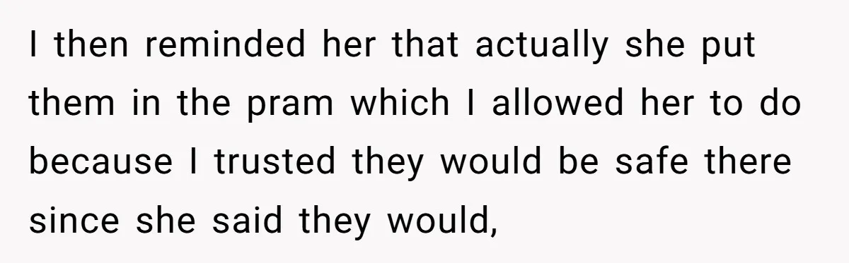 I then reminded her that actually she put them in the pram which I allowed her to do because I trusted they would be safe there since she said they...
