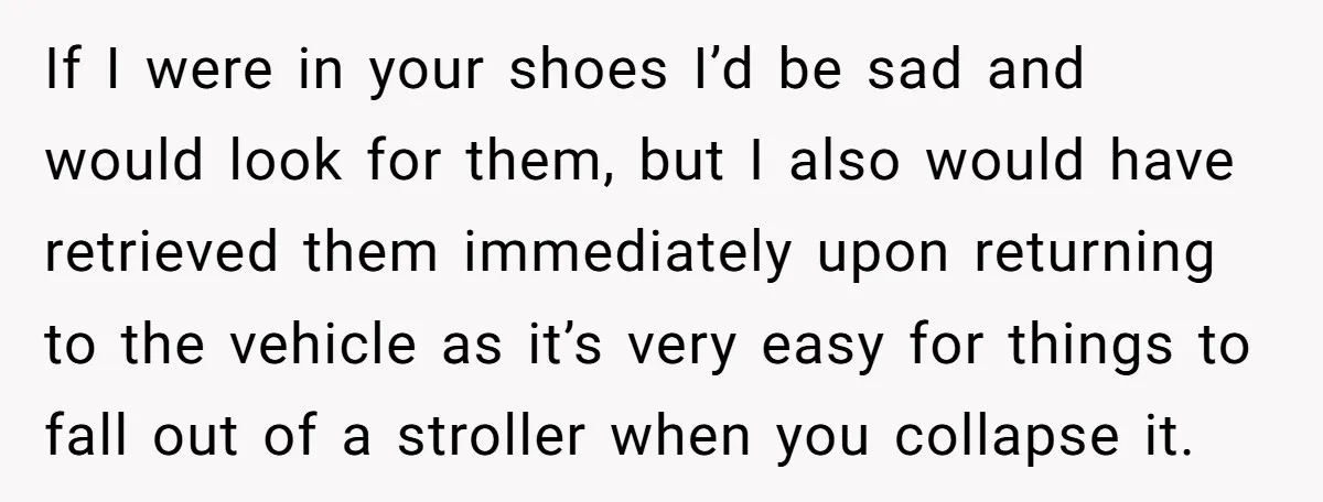 If I were in your shoes I’d be sad and would look for them, but I also would have retrieved them immediately upon returning to the vehicle as it’s very...