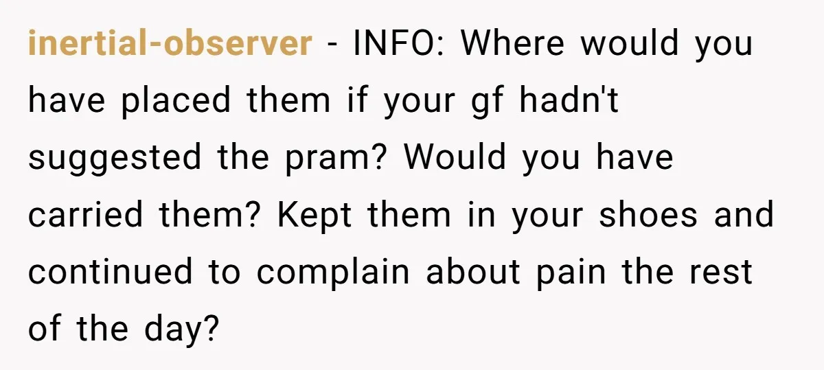 inertial-observer − INFO: Where would you have placed them if your gf hadn't suggested the pram? Would you have carried them? Kept them in your shoes and continued to complain...