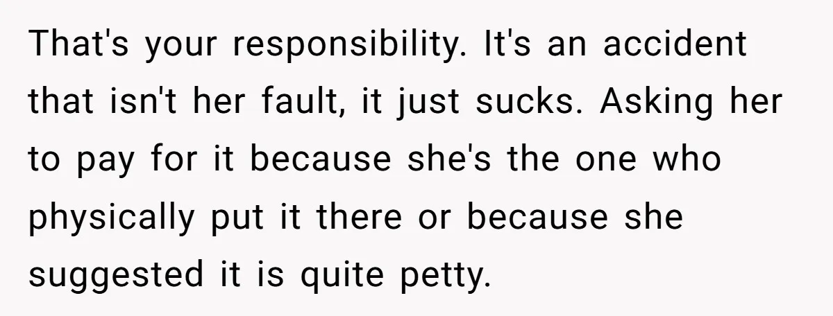 That's your responsibility. It's an accident that isn't her fault, it just sucks. Asking her to pay for it because she's the one who physically put it there or because...