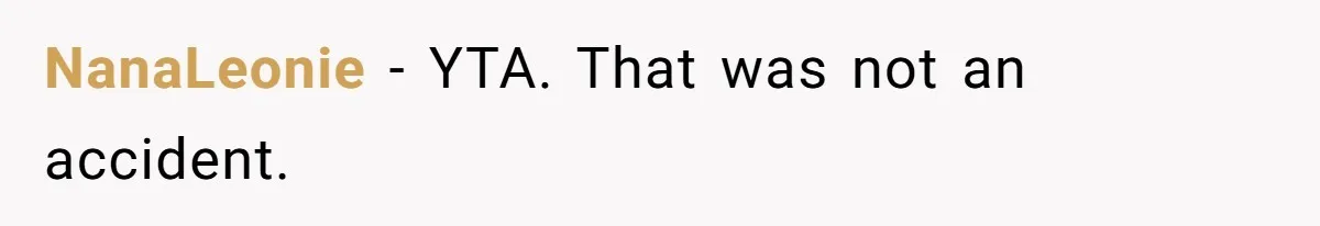 NanaLeonie - YTA. That was not an accident.