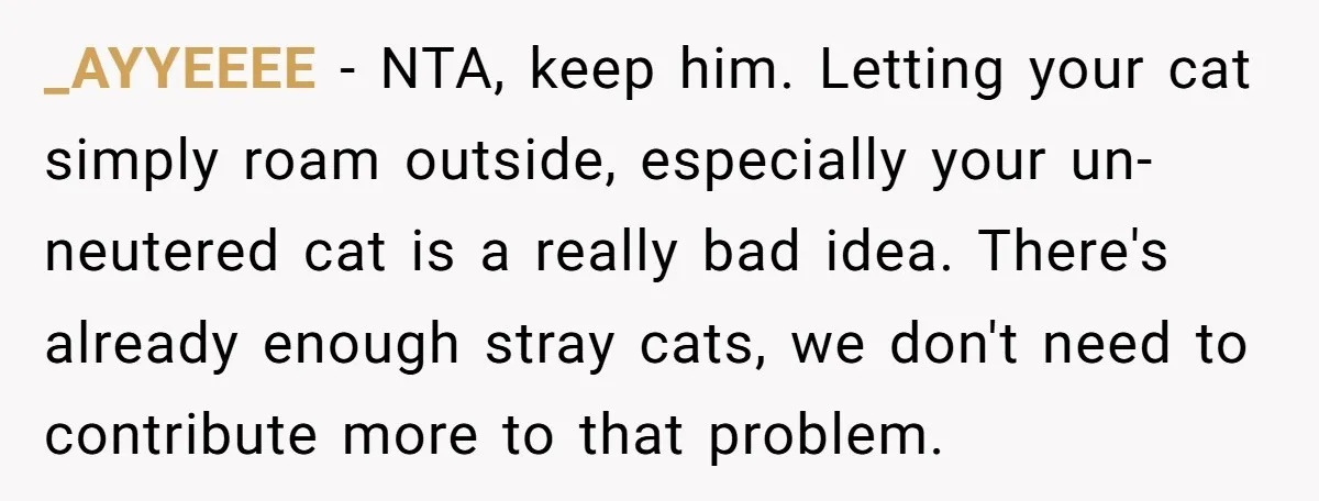 _AYYEEEE − NTA, keep him. Letting your cat simply roam outside, especially your un-neutered cat is a really bad idea. There's already enough stray cats, we don't need to contribute...