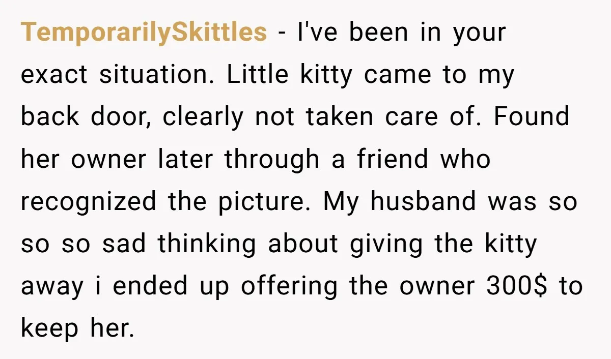 TemporarilySkittles − I've been in your exact situation. Little kitty came to my back door, clearly not taken care of. Found her owner later through a friend who recognized the...