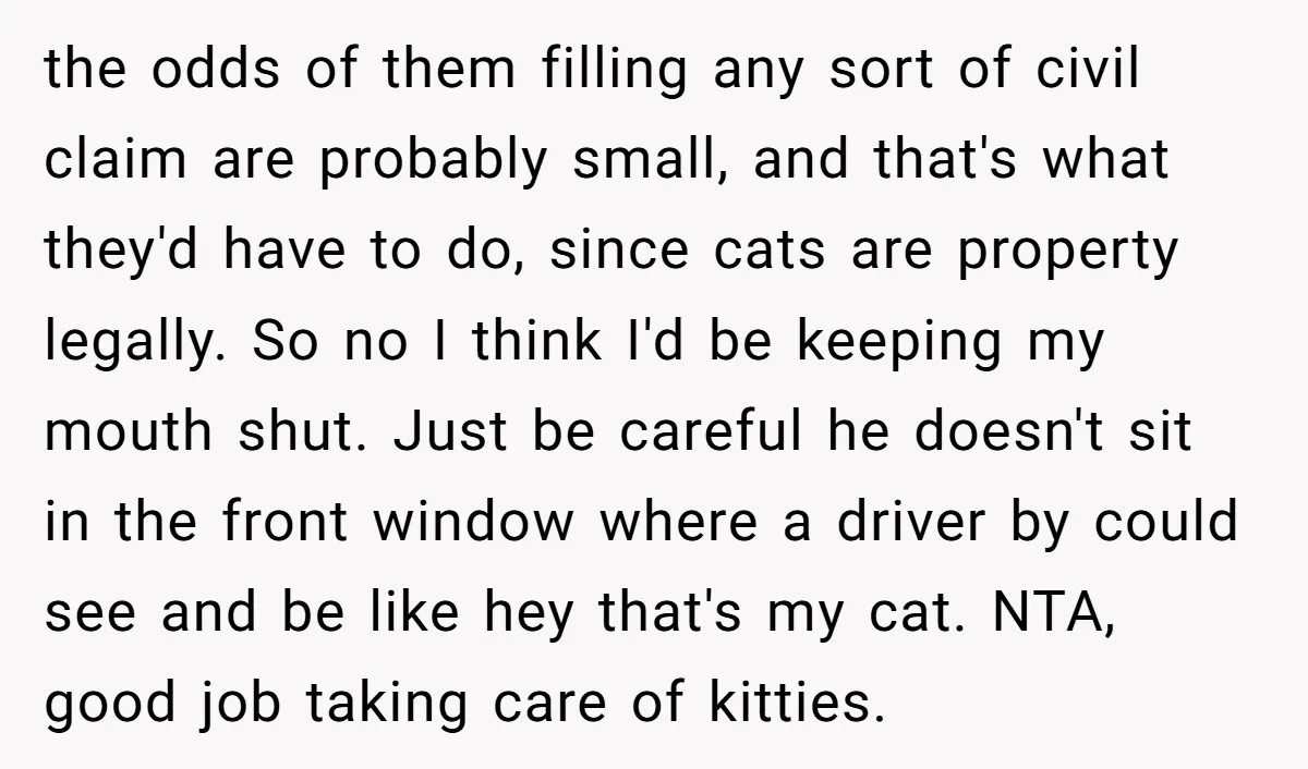the odds of them filling any sort of civil claim are probably small, and that's what they'd have to do, since cats are property legally. So no I think I'd...