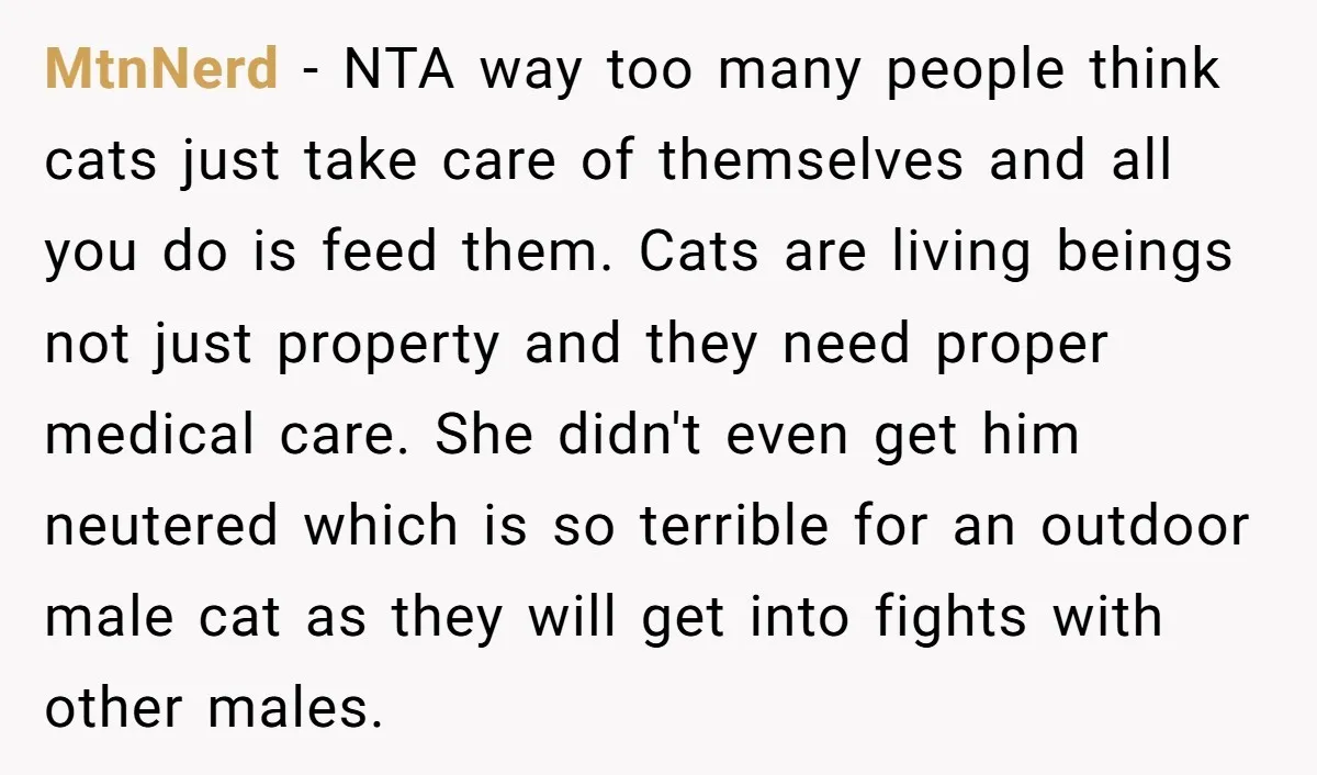 MtnNerd − NTA way too many people think cats just take care of themselves and all you do is feed them. Cats are living beings not just property and they...