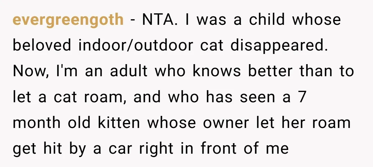 evergreengoth − NTA. I was a child whose beloved indoor/outdoor cat disappeared. Now, I'm an adult who knows better than to let a cat roam, and who has seen a...