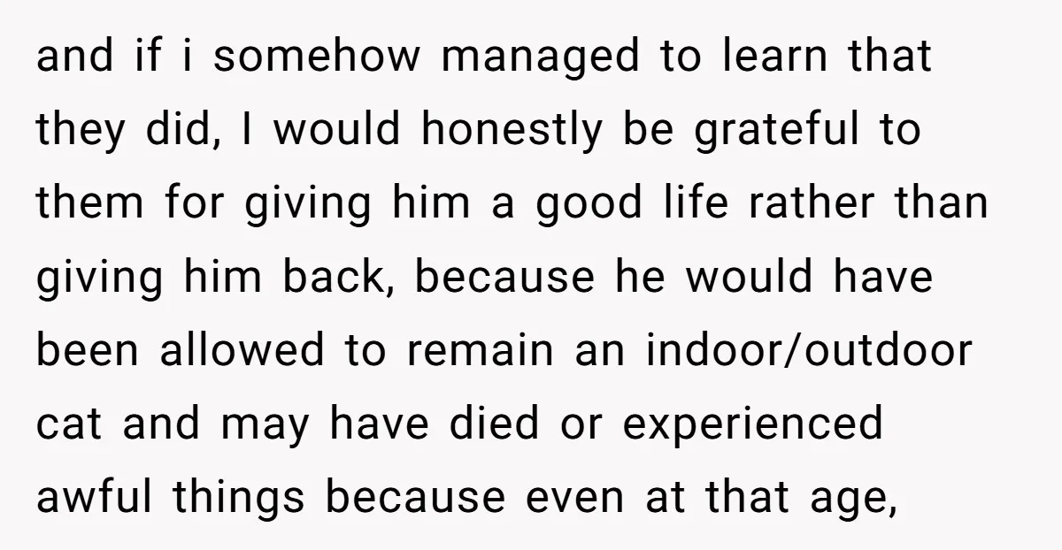 and if i somehow managed to learn that they did, I would honestly be grateful to them for giving him a good life rather than giving him back, because he...