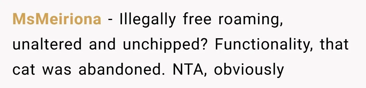 MsMeiriona − Illegally free roaming, unaltered and unchipped? Functionality, that cat was abandoned. NTA, obviously