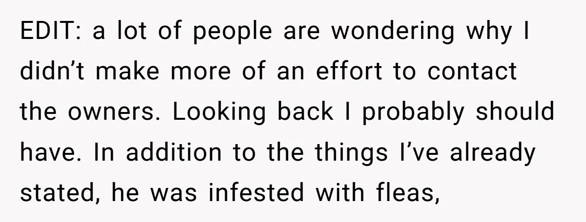 EDIT: a lot of people are wondering why I didn’t make more of an effort to contact the owners. Looking back I probably should have. In addition to the things...