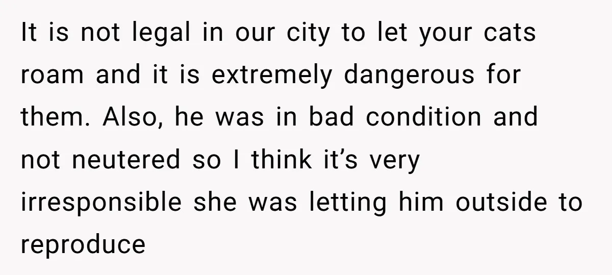 It is not legal in our city to let your cats roam and it is extremely dangerous for them. Also, he was in bad condition and not neutered so I...