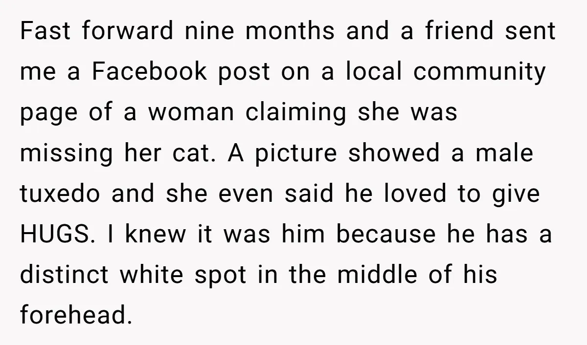 Fast forward nine months and a friend sent me a Facebook post on a local community page of a woman claiming she was missing her cat. A picture showed a...