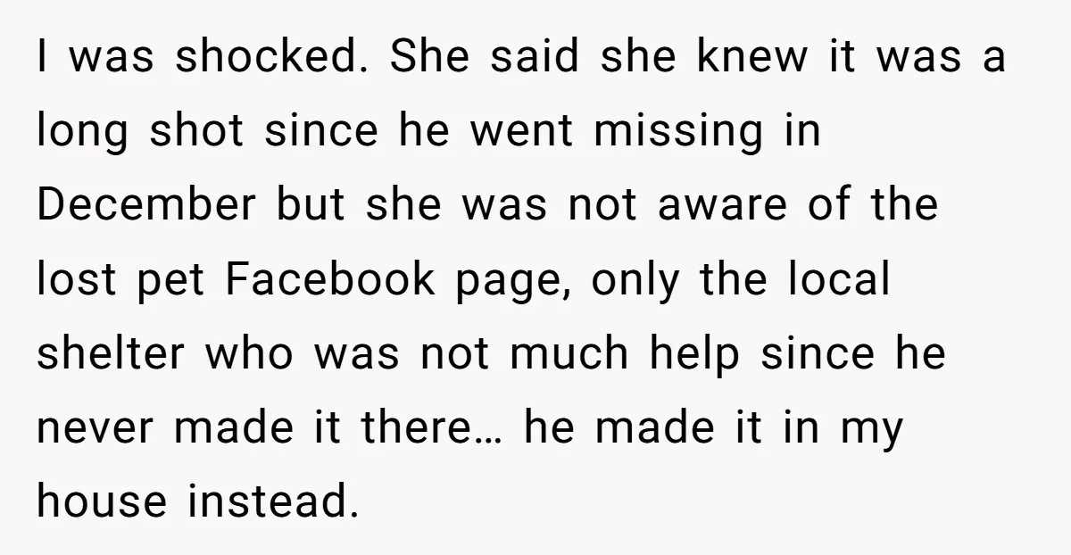 I was shocked. She said she knew it was a long shot since he went missing in December but she was not aware of the lost pet Facebook page, only...