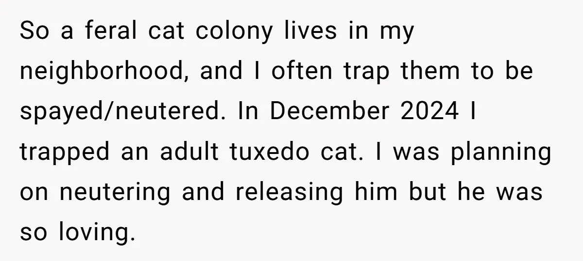So a feral cat colony lives in my neighborhood, and I often trap them to be spayed/neutered. In December 2024 I trapped an adult tuxedo cat. I was planning on...