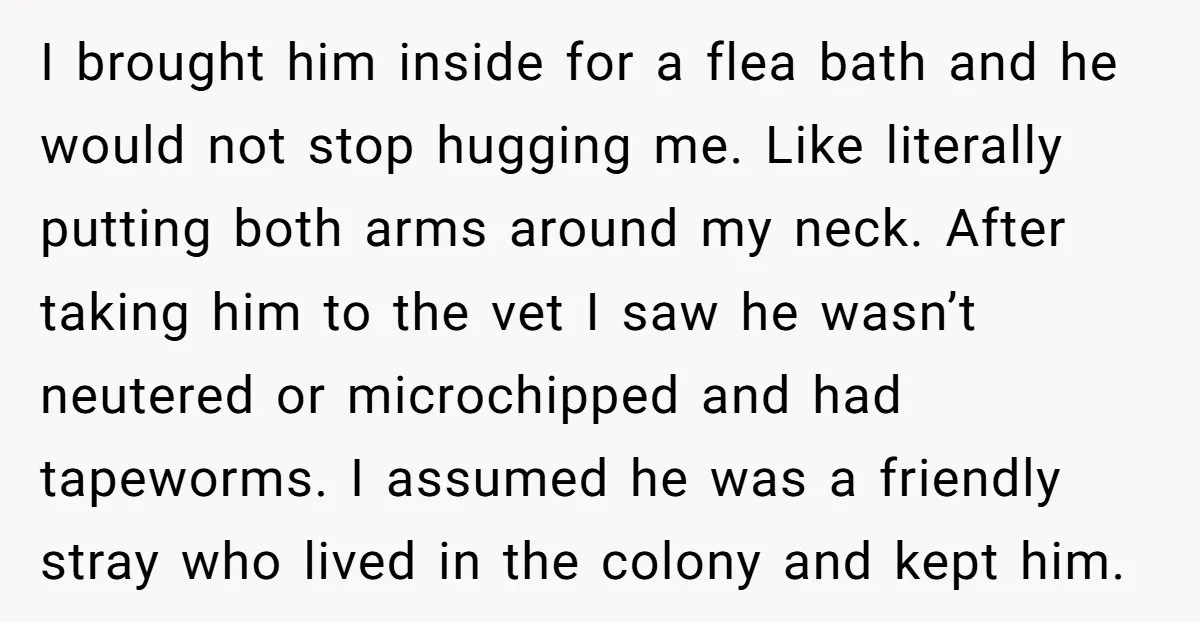 I brought him inside for a flea bath and he would not stop hugging me. Like literally putting both arms around my neck. After taking him to the vet I...