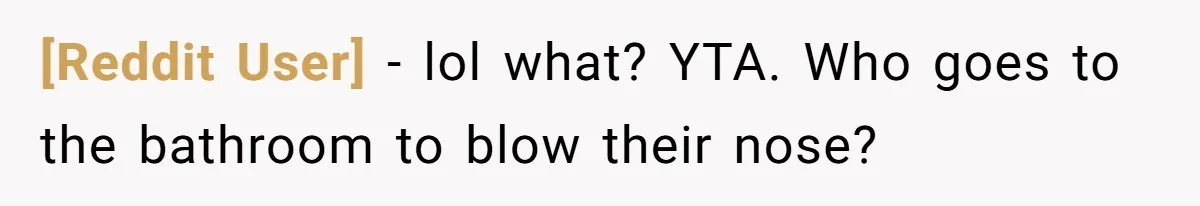[Reddit User] − lol what? YTA. Who goes to the bathroom to blow their nose?