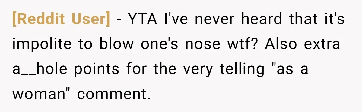 [Reddit User] − YTA I've never heard that it's impolite to blow one's nose wtf? Also extra a__hole points for the very telling "as a woman" comment.
