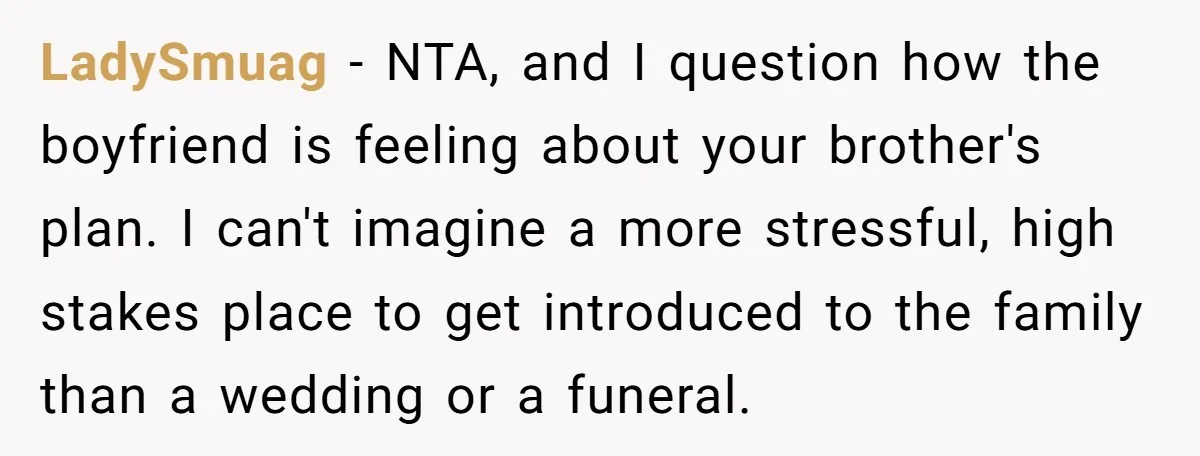 LadySmuag − NTA, and I question how the boyfriend is feeling about your brother's plan. I can't imagine a more stressful, high stakes place to get introduced to the family...