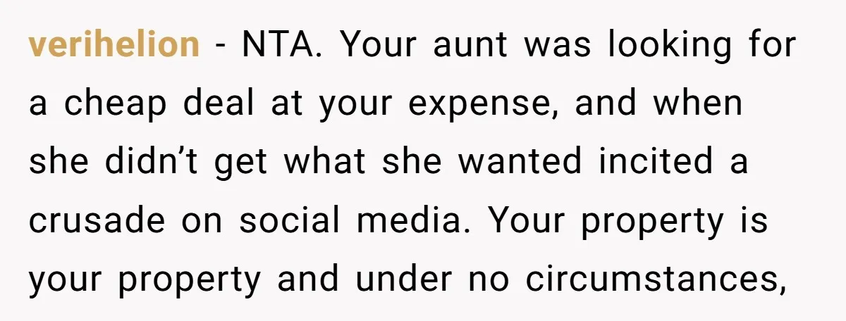 verihelion − NTA. Your aunt was looking for a cheap deal at your expense, and when she didn’t get what she wanted incited a crusade on social media. Your property...