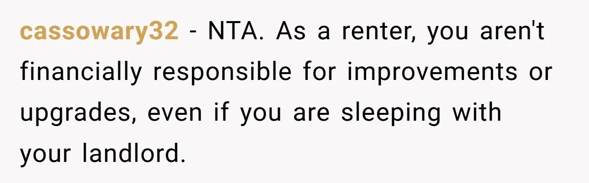 cassowary32 − NTA. As a renter, you aren't financially responsible for improvements or upgrades, even if you are sleeping with your landlord.