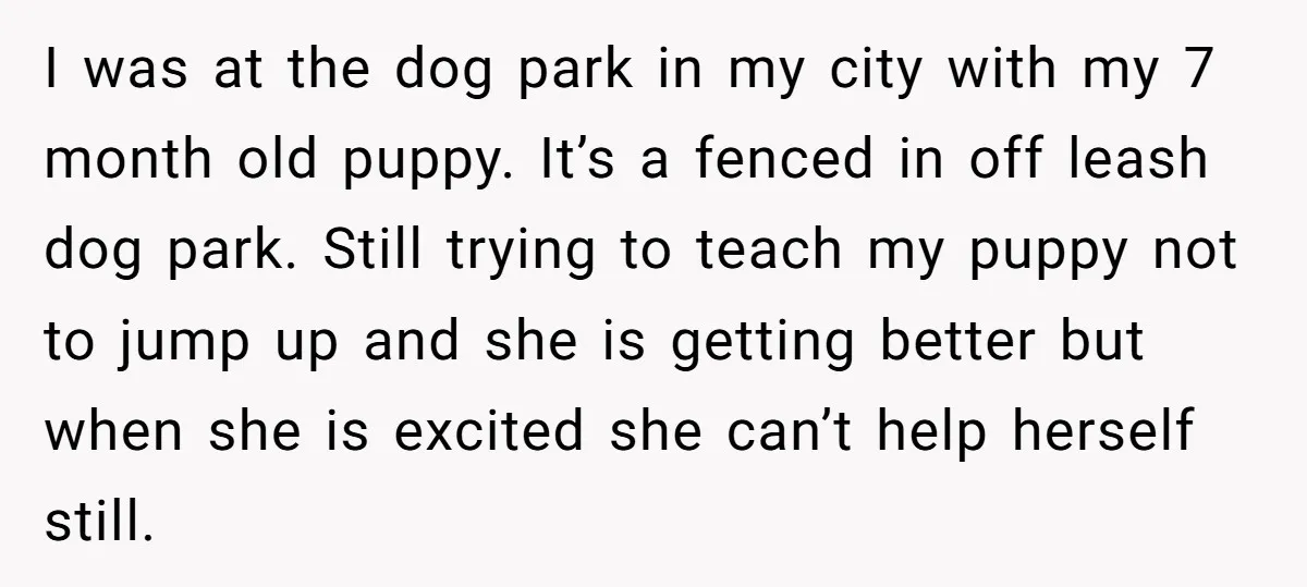 I was at the dog park in my city with my 7 month old puppy. It’s a fenced in off leash dog park. Still trying to teach my puppy not...